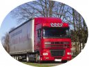 Daf XF 95 H07 tunnel schakel